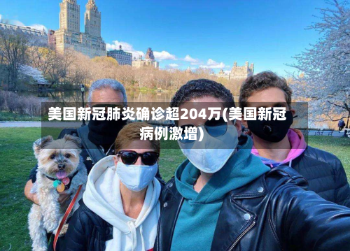 美国新冠肺炎确诊超204万(美国新冠病例激增)-第3张图片