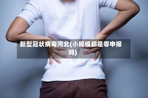 新型冠状病毒河北(小规模都是零申报吗)-第2张图片