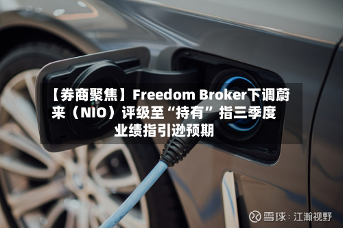 【券商聚焦】Freedom Broker下调蔚来（NIO）评级至“持有” 指三季度业绩指引逊预期-第3张图片