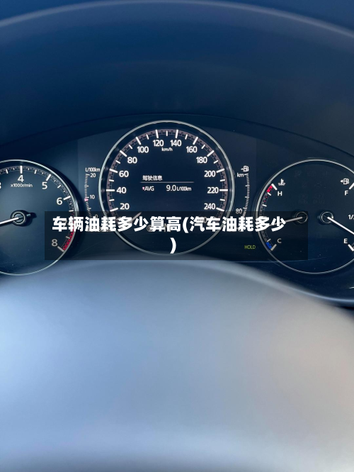 车辆油耗多少算高(汽车油耗多少)