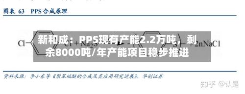 新和成：PPS现有产能2.2万吨，剩余8000吨/年产能项目稳步推进-第2张图片