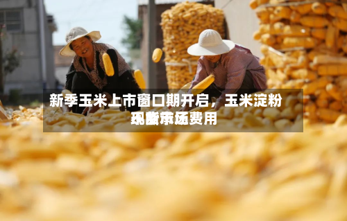 新季玉米上市窗口期开启	，玉米淀粉现货市场费用不断承压-第1张图片
