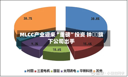 MLCC产业迎来“重磅”投资 钟睒睒旗下公司出手-第3张图片