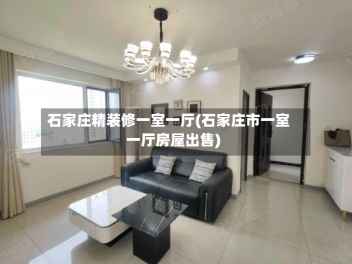 石家庄精装修一室一厅(石家庄市一室一厅房屋出售)-第2张图片