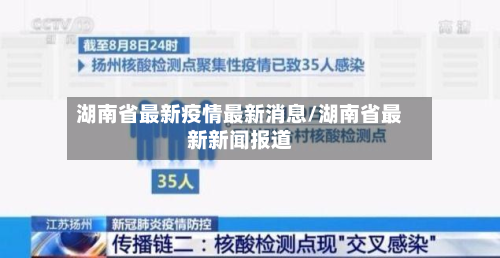 湖南省最新疫情最新消息/湖南省最新新闻报道