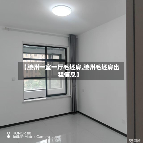 【滕州一室一厅毛坯房,滕州毛坯房出租信息】