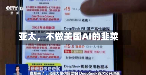 亚太，不做美国AI的韭菜-第2张图片