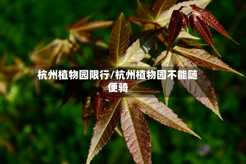 杭州植物园限行/杭州植物园不能随便骑