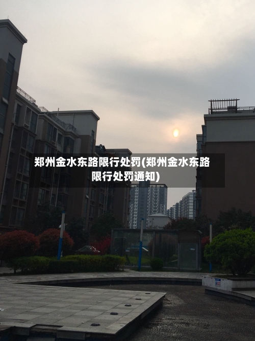 郑州金水东路限行处罚(郑州金水东路限行处罚通知)-第3张图片