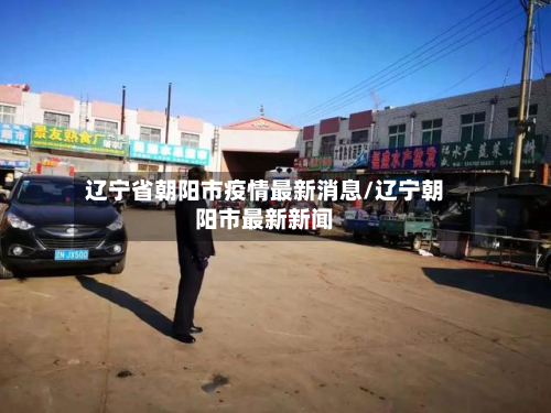 辽宁省朝阳市疫情最新消息/辽宁朝阳市最新新闻-第2张图片