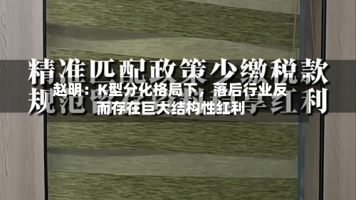 赵明：K型分化格局下，落后行业反而存在巨大结构性红利-第2张图片
