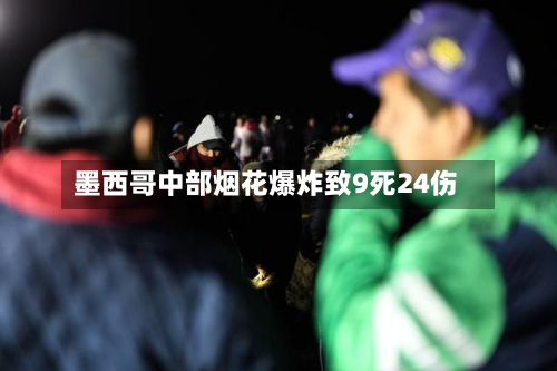 墨西哥中部烟花爆炸致9死24伤-第2张图片