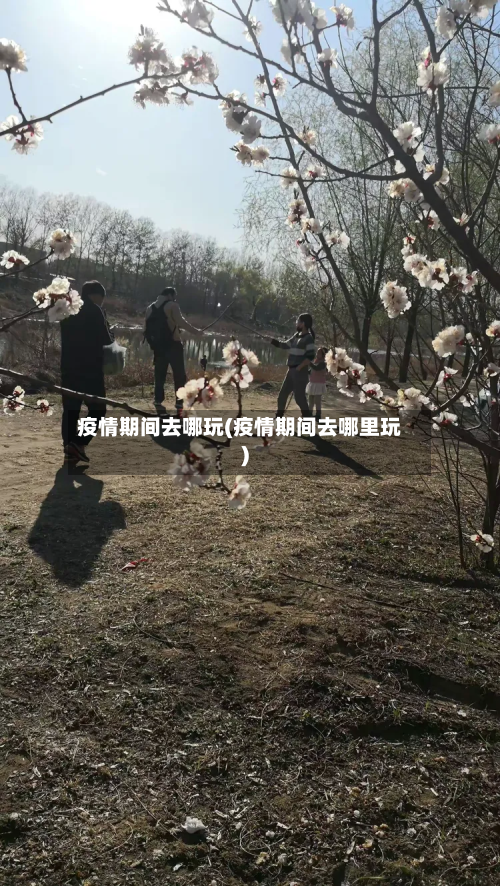 疫情期间去哪玩(疫情期间去哪里玩)-第3张图片