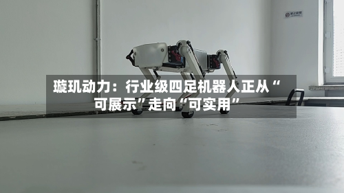 璇玑动力：行业级四足机器人正从“可展示”走向“可实用”