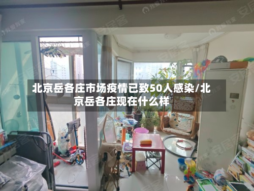 北京岳各庄市场疫情已致50人感染/北京岳各庄现在什么样-第2张图片