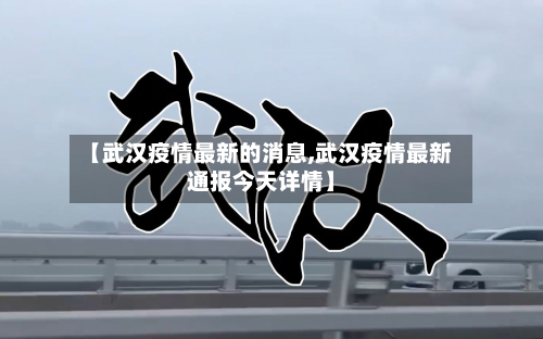 【武汉疫情最新的消息,武汉疫情最新通报今天详情】-第2张图片