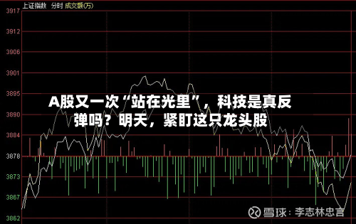 A股又一次“站在光里”，科技是真反弹吗？明天，紧盯这只龙头股-第2张图片