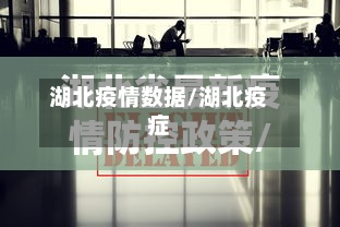 湖北疫情数据/湖北疫症-第2张图片