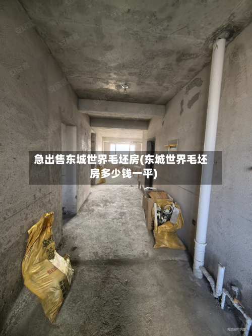 急出售东城世界毛坯房(东城世界毛坯房多少钱一平)-第2张图片
