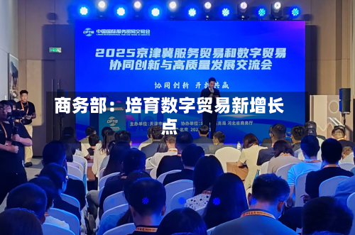商务部：培育数字贸易新增长点-第3张图片