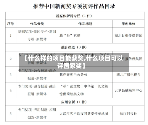 【什么样的项目能获奖,什么项目可以评国家奖】-第2张图片