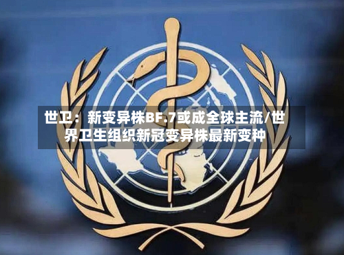 世卫:新变异株BF.7或成全球主流/世界卫生组织新冠变异株最新变种-第2张图片