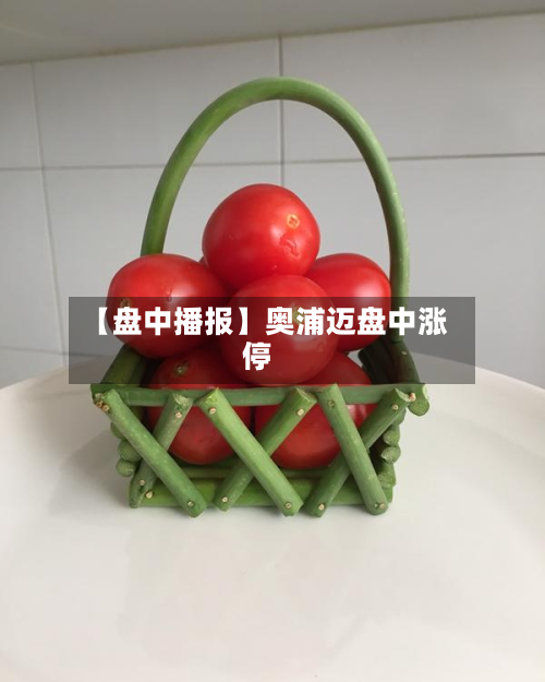 【盘中播报】奥浦迈盘中涨停-第1张图片