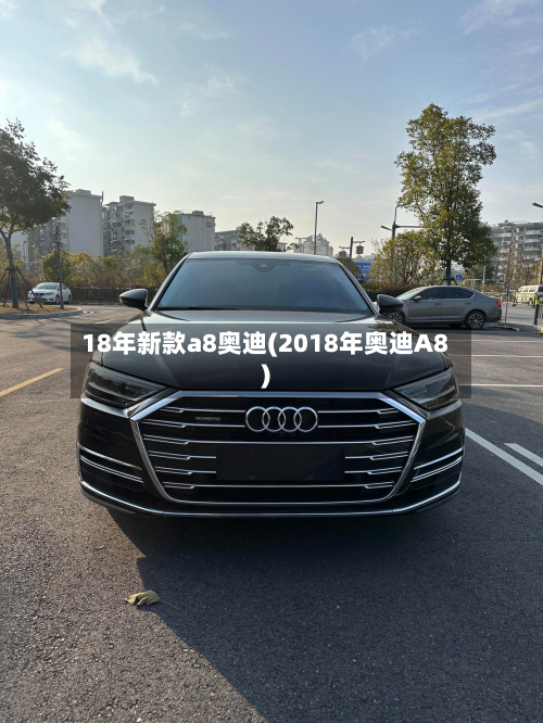 18年新款a8奥迪(2018年奥迪A8)-第2张图片