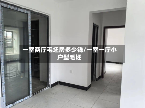 一室两厅毛坯房多少钱/一室一厅小户型毛坯