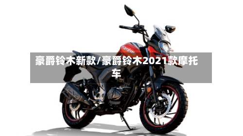 豪爵铃木新款/豪爵铃木2021款摩托车