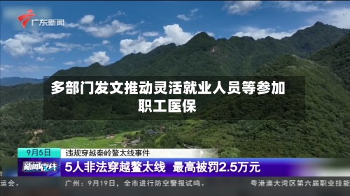 多部门发文推动灵活就业人员等参加职工医保-第2张图片