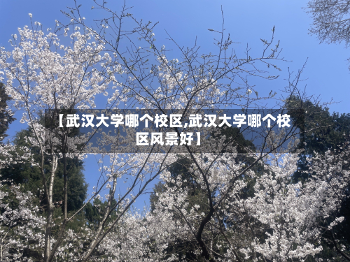 【武汉大学哪个校区,武汉大学哪个校区风景好】