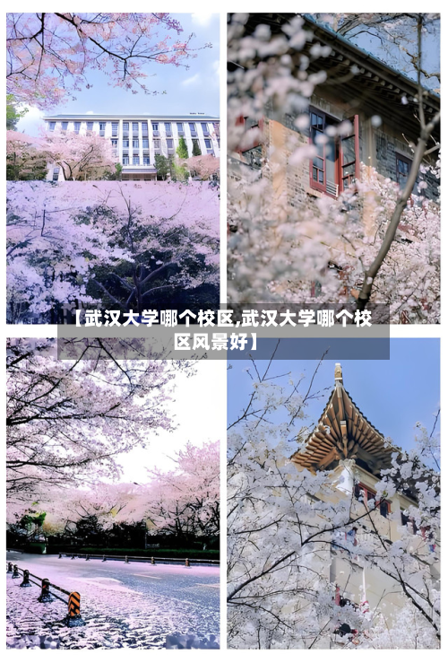 【武汉大学哪个校区,武汉大学哪个校区风景好】-第3张图片