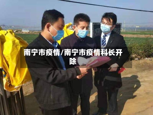南宁市疫情/南宁市疫情科长开除