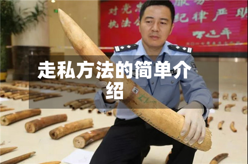 走私方法的简单介绍-第2张图片