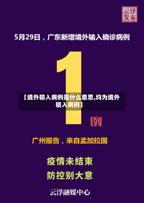 【境外输入病例是什么意思,均为境外输入病例】-第2张图片
