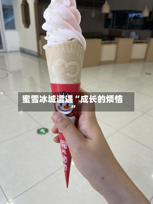 蜜雪冰城遭遇“成长的烦恼”-第2张图片