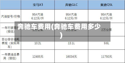 奔驰车费用(奔驰车费用多少)-第3张图片