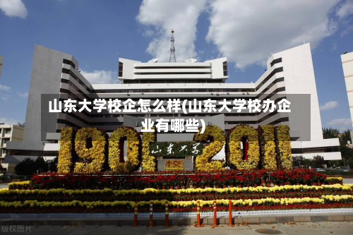 山东大学校企怎么样(山东大学校办企业有哪些)-第3张图片