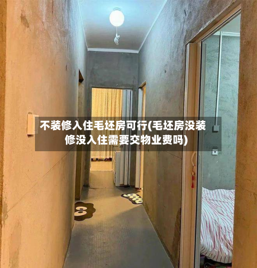 不装修入住毛坯房可行(毛坯房没装修没入住需要交物业费吗)-第2张图片