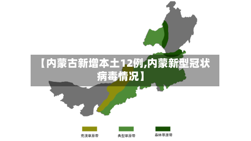 【内蒙古新增本土12例,内蒙新型冠状病毒情况】-第2张图片