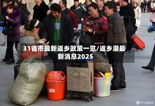 31省市最新返乡政策一览/返乡潮最新消息2025