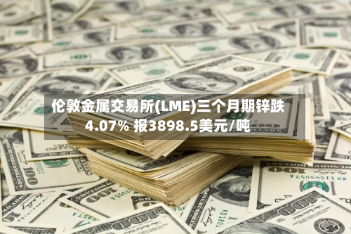 伦敦金属交易所(LME)三个月期锌跌4.07% 报3898.5美元/吨