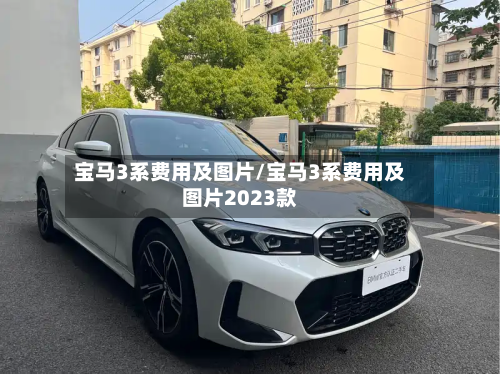 宝马3系费用及图片/宝马3系费用及图片2023款-第2张图片
