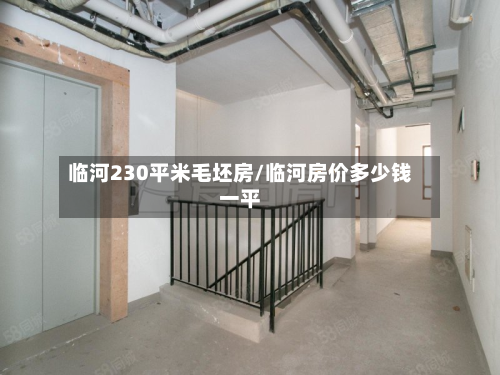 临河230平米毛坯房/临河房价多少钱一平