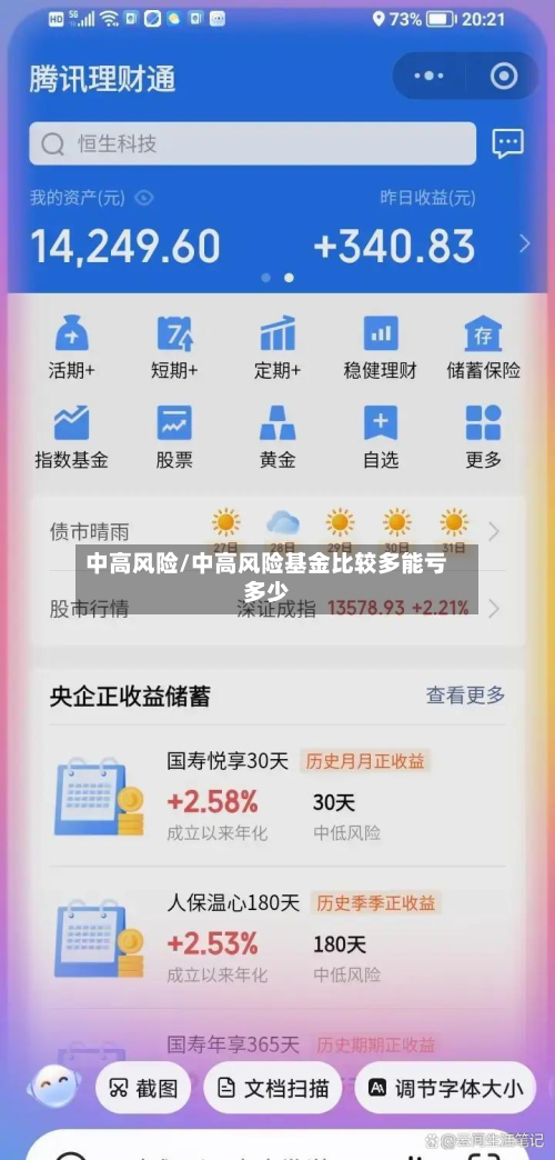 中高风险/中高风险基金比较多能亏多少-第2张图片