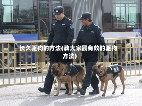 长久驱狗的方法(教大家最有效的驱狗方法)