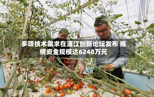 多项技术需求在浦江创新论坛发布 揭榜资金规模达6240万元