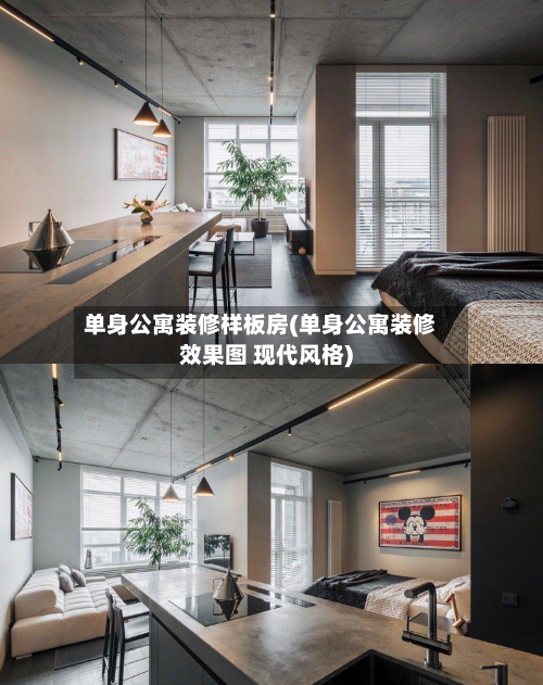 单身公寓装修样板房(单身公寓装修效果图 现代风格)-第3张图片