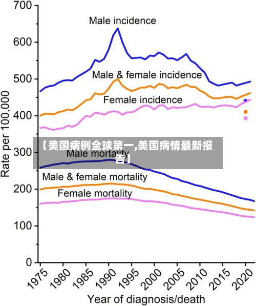 【美国病例全球第一,美国病情最新报告】-第2张图片